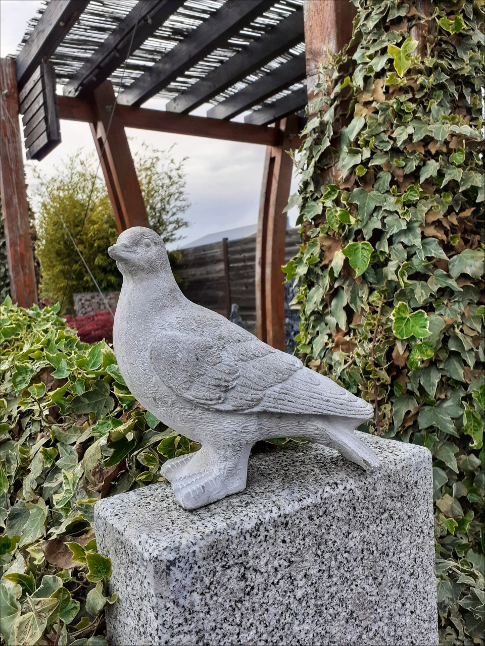 LE COIN D'HORTENSE - Marckolsheim : Pigeon 